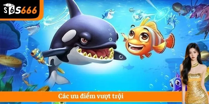 Các ưu điểm vượt trội