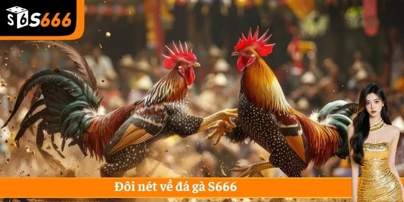 Đôi nét về đá gà S666